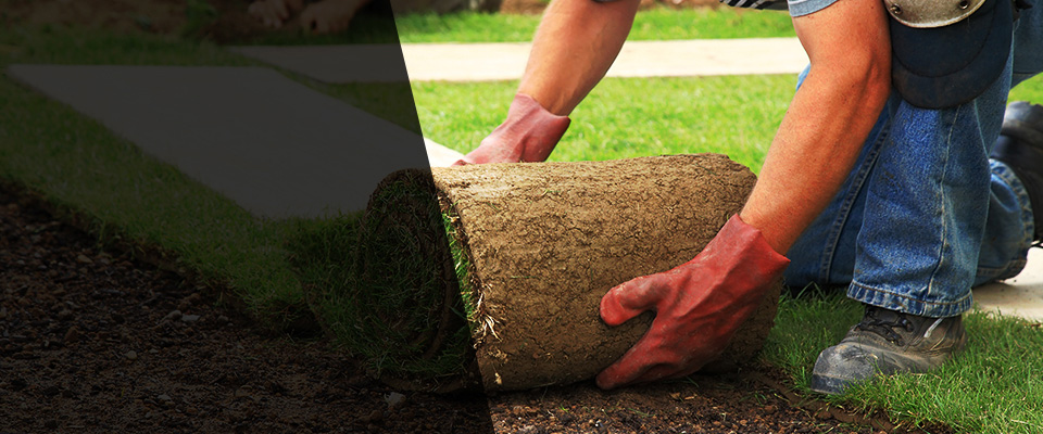 Commerce City Landscapers